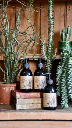 Vegan Cactus & Succulent Food 250ml (Fertiliser For Cacti) 5 Vegan Cactus & Succulent Food 250ml (Fertiliser For Cacti) -Happy House Plants Sale Store 9E125BF2 C102 4499 A9FE 81AAA955BD95 1 201 a