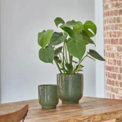 Designer Plant Pot | Forest Green Reactive Glaze Planter| 18cm Plant Pot -Happy House Plants Sale Store 9 f42958c8 285f 49a5 8434 1a9228cf708a jpg