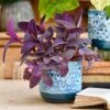 Indoor Ceramic Glaze Plant Pot (Sapphire 16cm Plant Pot)