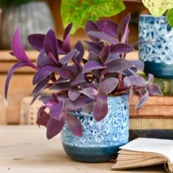 Indoor Ceramic Glaze Plant Pot (Sapphire 16cm Plant Pot)