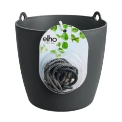 Brussels Hanging Basket 18cm -Happy House Plants Sale Store Brussels hangschaal zwart