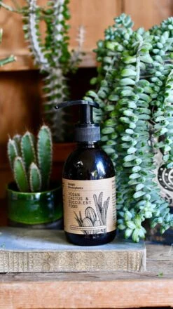 Vegan Cactus & Succulent Food 250ml (Fertiliser For Cacti)