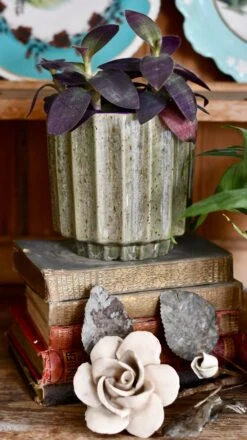 Lugano Scalloped Green Reactive Planter (13cm Plant Pot) -Happy House Plants Sale Store DSC 0222