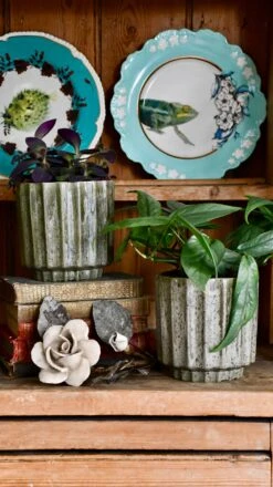 Lugano Scalloped Green Reactive Planter (13cm Plant Pot) -Happy House Plants Sale Store DSC 0235