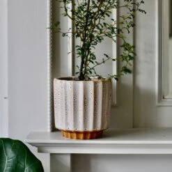 Lugano Scalloped Mustard Reactive Planter (16cm Plant Pot) 5 Lugano Scalloped Mustard Reactive Planter (16cm Plant Pot) -Happy House Plants Sale Store DSC 1593 62368002 7125 41d4 9f9b a695c3097118
