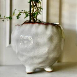 Japandi Ceramic Glaze Indoor Plant Pot (10cm Pot) 7 Japandi Ceramic Glaze Indoor Plant Pot (10cm Pot) -Happy House Plants Sale Store DSC 1671