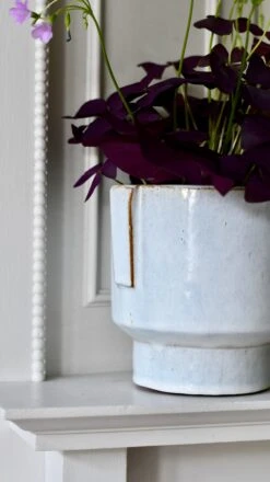 Aries Premium Glaze Handle Planter (14cm Indoor Plant Pot) -Happy House Plants Sale Store DSC 2242 909dd174 d461 404b 8bc0 911b4cabce14