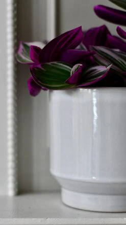 Pebble Premium Glaze Planter (14cm Indoor Plant Pot) -Happy House Plants Sale Store DSC 2335