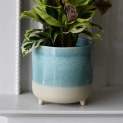 3 Leg Ceramic Reactive Glaze Indoor Plant Pot Mint Aqua (9cm Pot) -Happy House Plants Sale Store DSC 2599