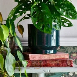 Forest Green Premium Glaze Planter (14cm Indoor Plant Pot)