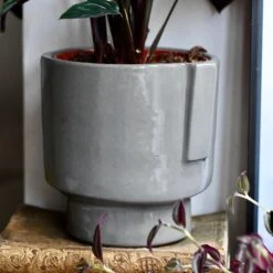 Aries Grey Premium Glaze Handle Planter (14cm Indoor Plant Pot) 8 Aries Grey Premium Glaze Handle Planter (14cm Indoor Plant Pot) -Happy House Plants Sale Store DSC 2943