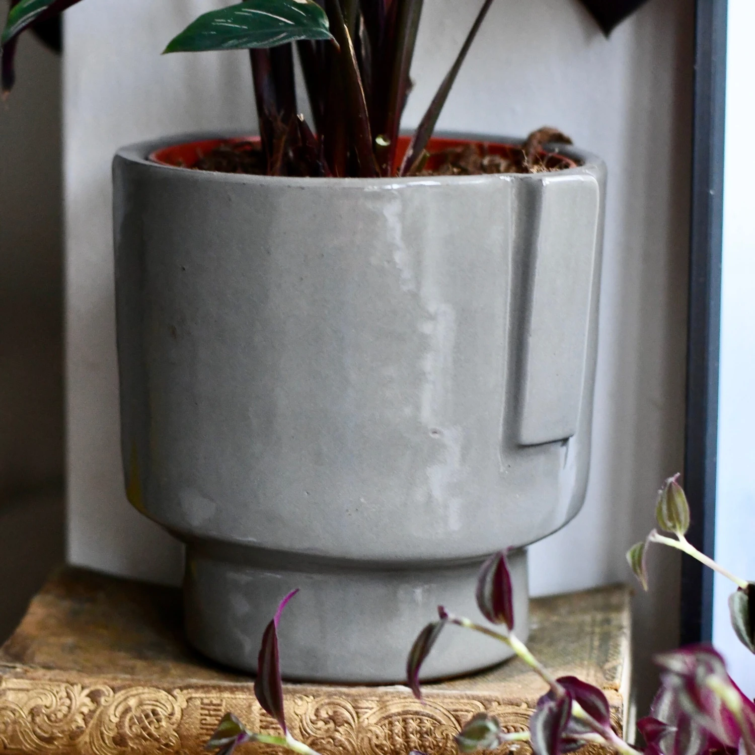 Aries Grey Premium Glaze Handle Planter (14cm Indoor Plant Pot) 4 Aries Grey Premium Glaze Handle Planter (14cm Indoor Plant Pot) - Image 4