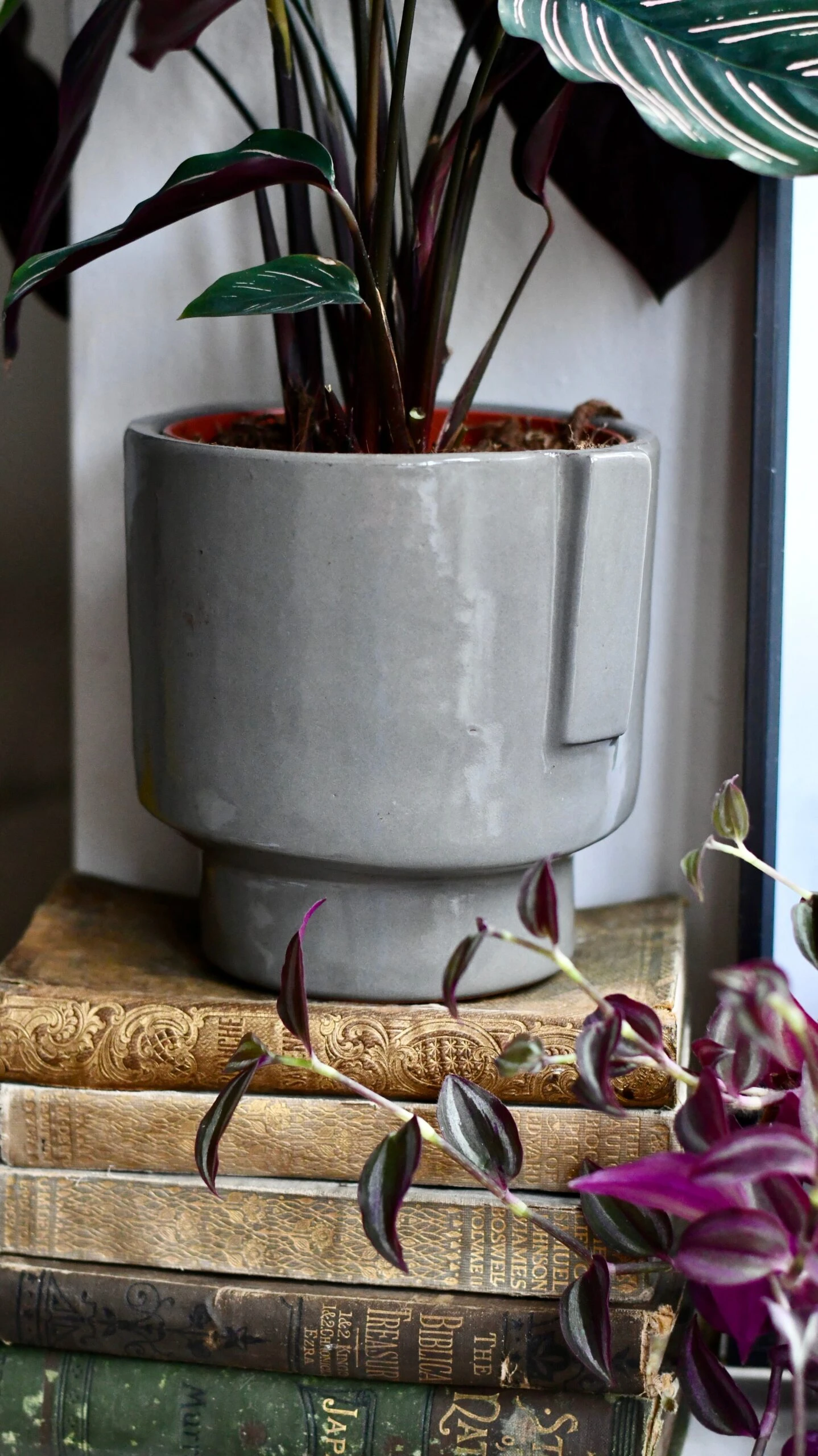 Aries Grey Premium Glaze Handle Planter (14cm Indoor Plant Pot) 5 Aries Grey Premium Glaze Handle Planter (14cm Indoor Plant Pot) - Image 5