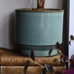 Aqua Premium Glaze Planter (14cm Indoor Plant Pot) -Happy House Plants Sale Store DSC 2948