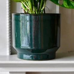Forest Green Premium Glaze Planter (14cm Indoor Plant Pot) -Happy House Plants Sale Store DSC 2963