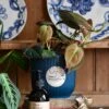 Philodendron Micans Plant Gift Set With Blue Elho Pot (Optional Scented Candle & Plant Food)