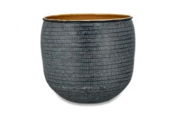 Ficus Microcarpa, Chinese Banyan & Tembesi Pot -Happy House Plants Sale Store TP1603 WB dd7893dd 182f 42f6 93b7 70e3dce44619