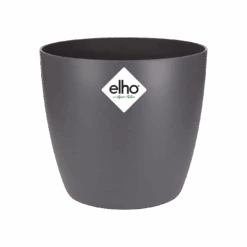 Echeveria Gifting Set -Happy House Plants Sale Store brussels round mini anthracite s1 png 713f63f3 737c 49c5 abc9 b9aea187dd77