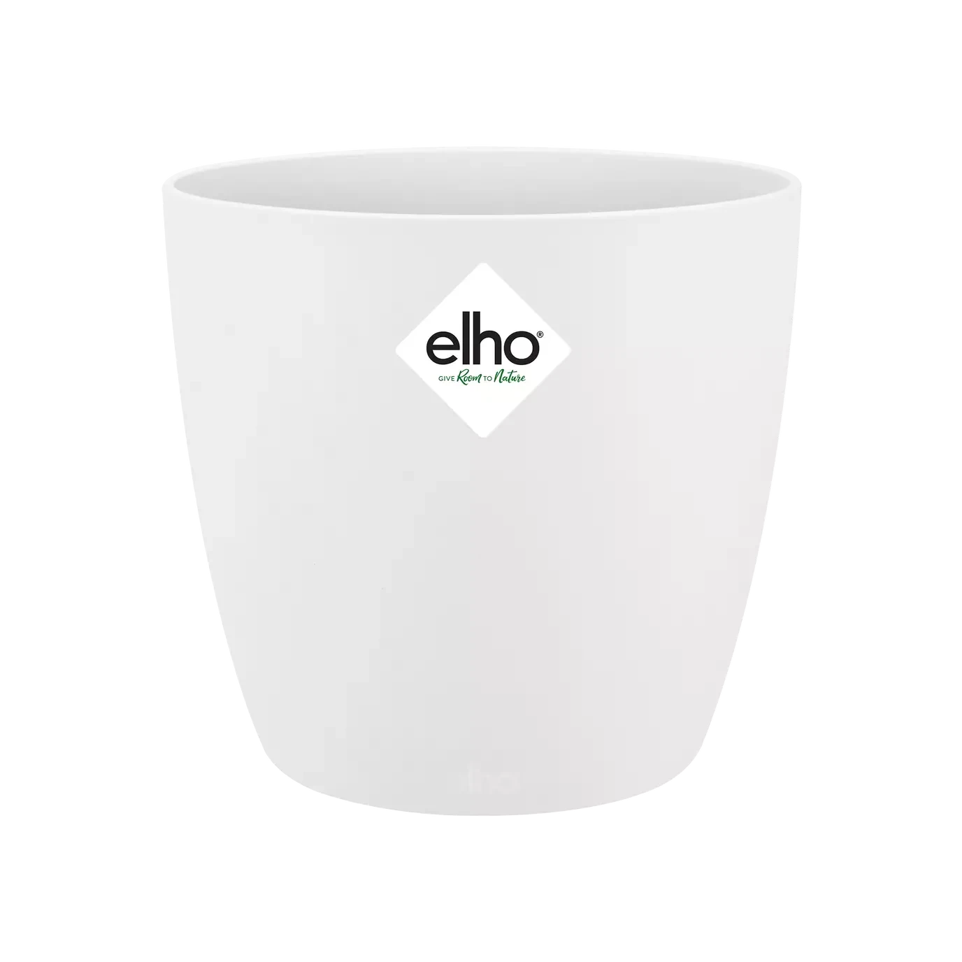 Yucca Elephatipes & Baby Monstera Houseplant Gift Set 4 Yucca Elephatipes & Baby Monstera Houseplant Gift Set - Image 4