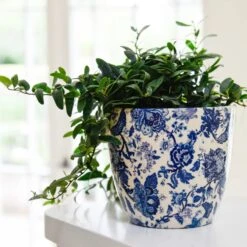 Bohemian Monza Planter, Vintage Blue -Happy House Plants Sale Store d jpg 49070027 25a3 4c3f 98e1 d1abdf495e6f