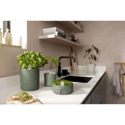 Bouncy Basil Grow Pot Leaf Green 17cm -Happy House Plants Sale Store gyo indoor leaf green i1 jpg