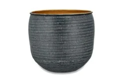 Ficus Benghalensis & Pot 'Petite Audrey' (Bengal Fig) -Happy House Plants Sale Store nkuku tembesi etched planter antique black brass 5055672403449 23545677807792