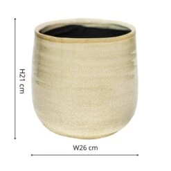 Como Cream Premium Glaze Planter (21cm Plant Pot) 7 Como Cream Premium Glaze Planter (21cm Plant Pot) -Happy House Plants Sale Store square 2160x2160px 480750d1 594b 4c7e ad6b 06d5677151a3 jpg