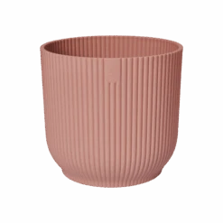 Vibes Fold Round 14cm -Happy House Plants Sale Store vibes fold rond delicate pink p1