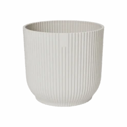 Pink Phalaenopsis Orchid And Vibes Pot -Happy House Plants Sale Store vibes fold rond silky white.t1