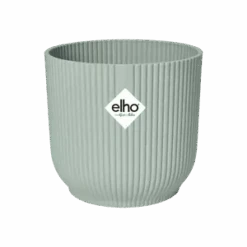 Large Chlorophytum Comosum & Pot , Spider Plant & Pot -Happy House Plants Sale Store vibes fold rond sorbet green pos t1 png 09abda0c 82fe 4f13 8251 df7bab49f5e4