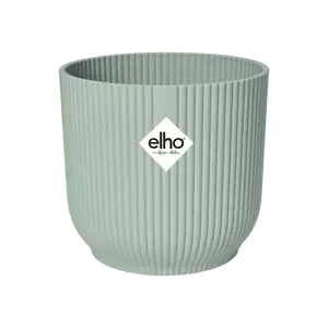 Philodendron Birkin (White Measure) & Vibes Pot 11 Philodendron Birkin (White Measure) & Vibes Pot - Image 11