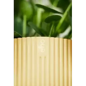 Vibes Fold Round 16cm Butter Yellow 3 Vibes Fold Round 16cm Butter Yellow - Image 3