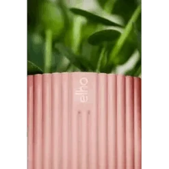 Vibes Fold Round 18cm -Happy House Plants Sale Store vibes fold round 14cm 181 i1 jpg