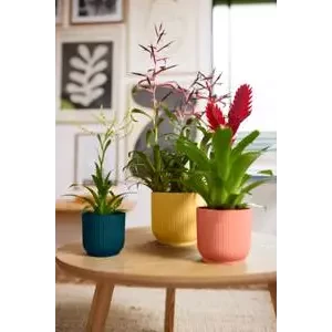 Vibes Fold Round 16cm Butter Yellow 4 Vibes Fold Round 16cm Butter Yellow - Image 4