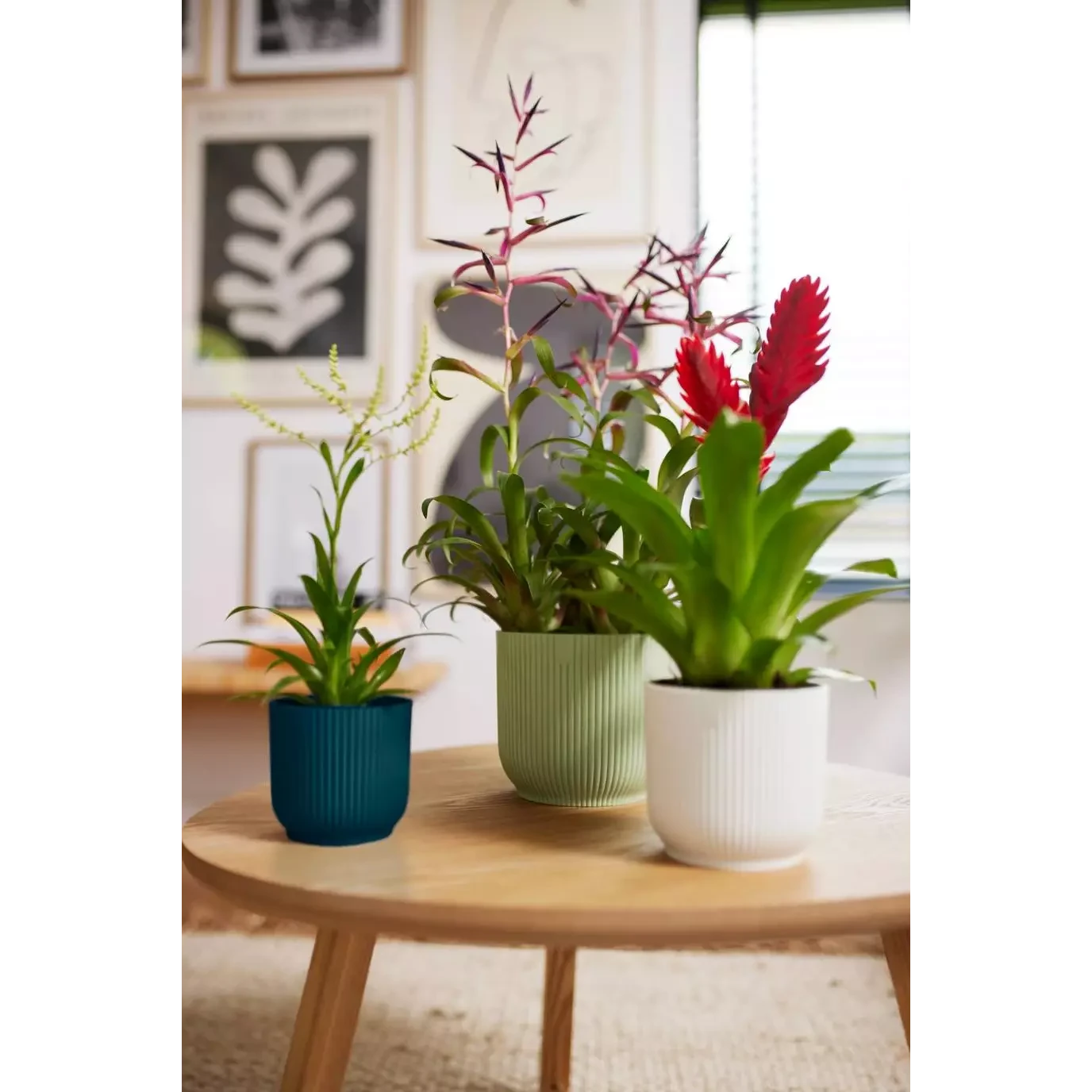 Vibes Fold Round Mini 11cm Silky White 4 Vibes Fold Round Mini 11cm Silky White - Image 4