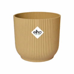 Pink Phalaenopsis Orchid And Vibes Pot -Happy House Plants Sale Store vibes fold round butter yellow s1 png 4fa30054 4ff3 406b 8a70 79c7e5ccd780