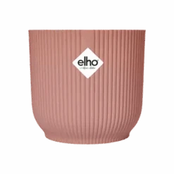 Epipremnum Global Green (Devil's Ivy) & Vibes Pot -Happy House Plants Sale Store vibes fold round delicate pink s2 png d3e6fc5a c623 4fc8 94b3 f0daeb9055fb