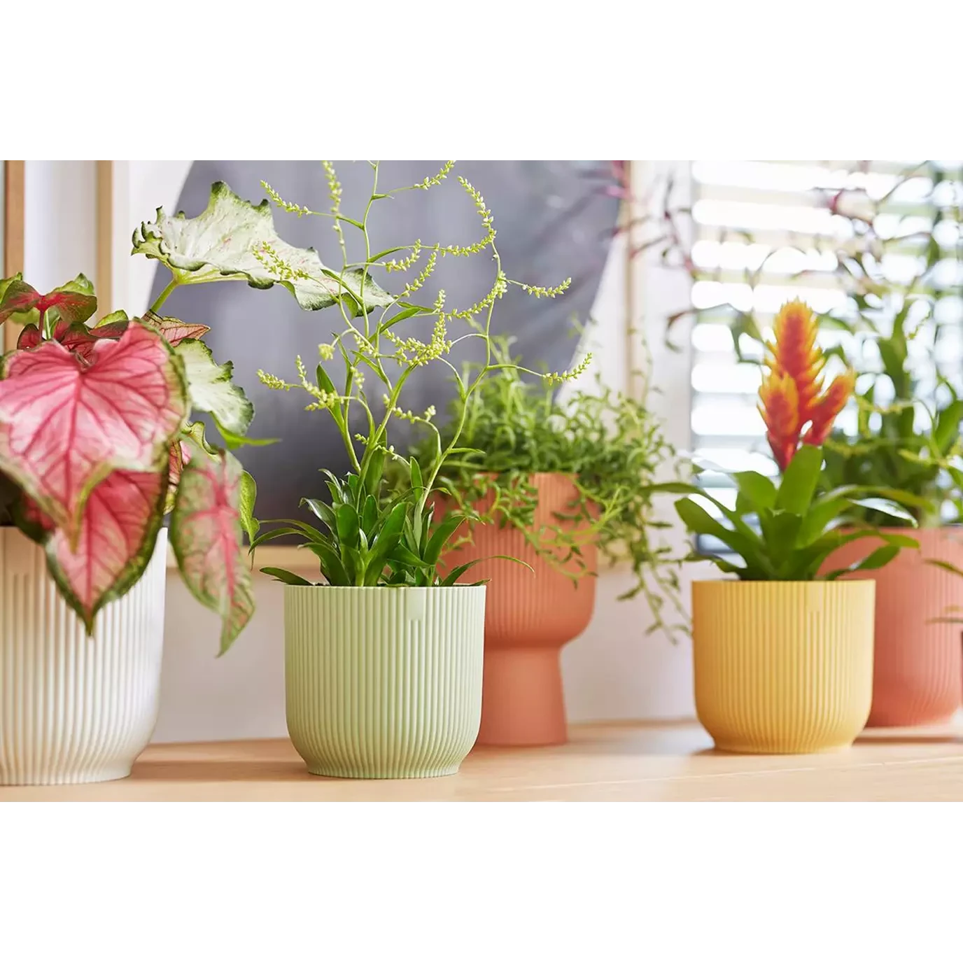 Vibes Fold Round 16cm Silky White 6 Vibes Fold Round 16cm Silky White - Image 6