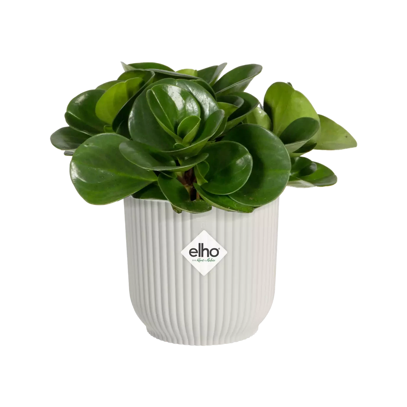 Vibes Fold Round Mini 11cm Silky White 1 Vibes Fold Round Mini 11cm Silky White