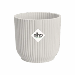 Yucca Elephatipes & Baby Pilea Houseplant Gift Set -Happy House Plants Sale Store vibes fold round mini silky white s1 png 047bcc69 b5e9 42a8 b5af c8f0681c12f0